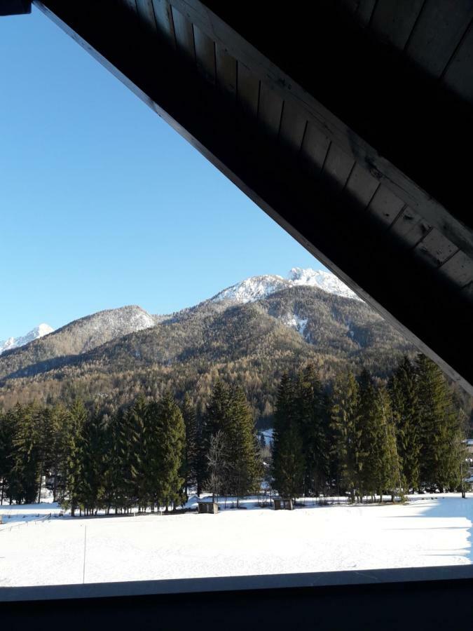 Apartma Kurji Vrh - Chicken Top Kranjska Gora Esterno foto