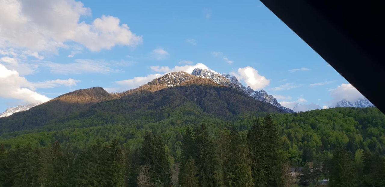Apartma Kurji Vrh - Chicken Top Kranjska Gora Esterno foto